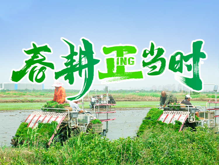 春耕正當時丨良種良法護航，“種”下豐收希望
